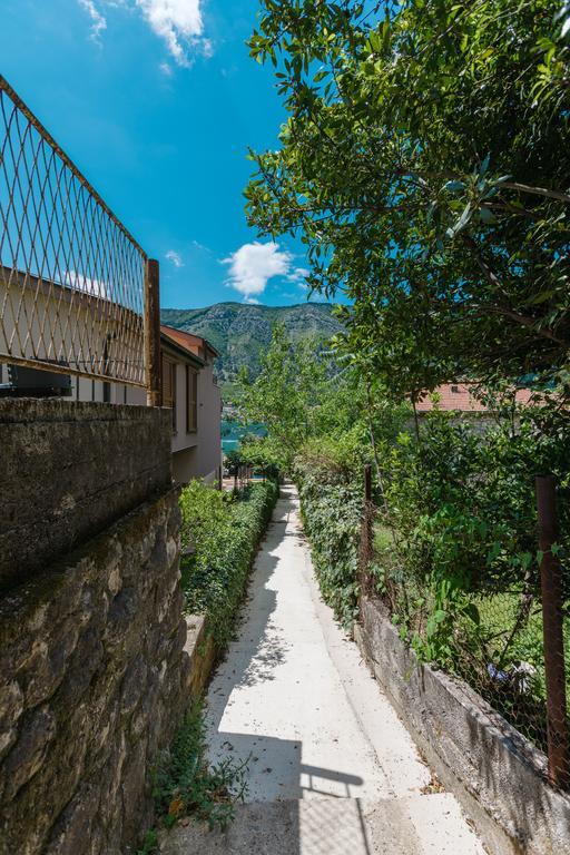 Apartments 26 Kotor Bagian luar foto
